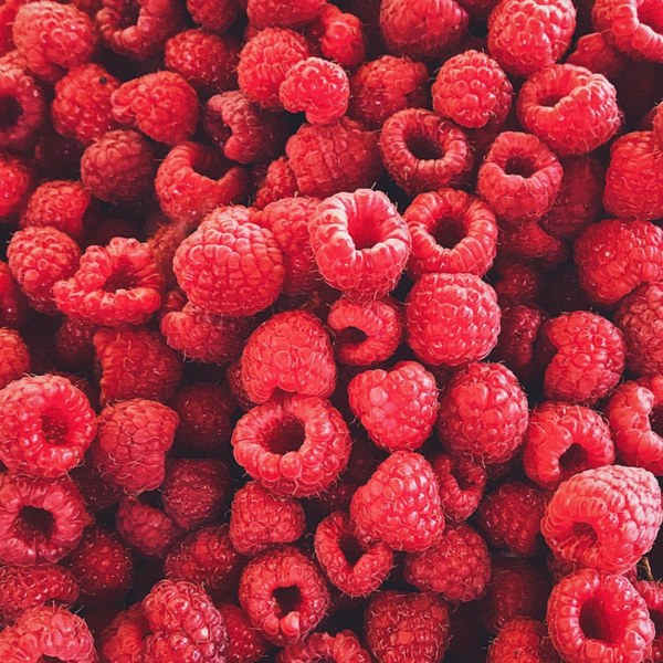 Bavarois à la framboise