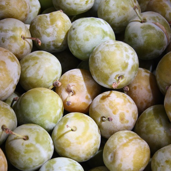 Gâteau aux mirabelles