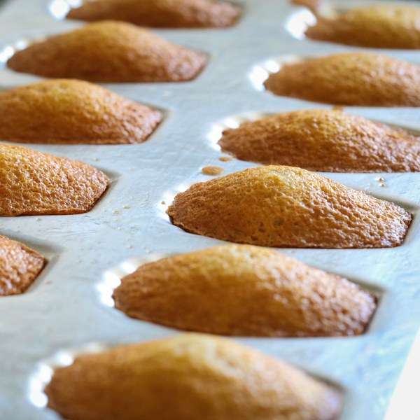 Les madeleines
