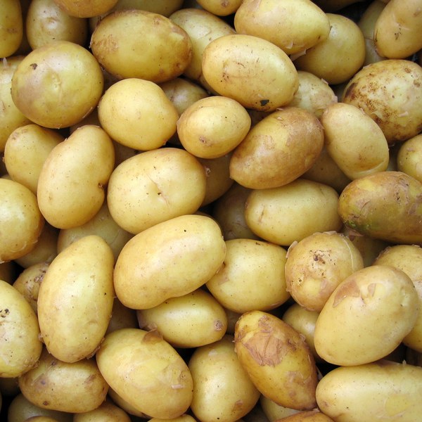 Purée de pommes de terre